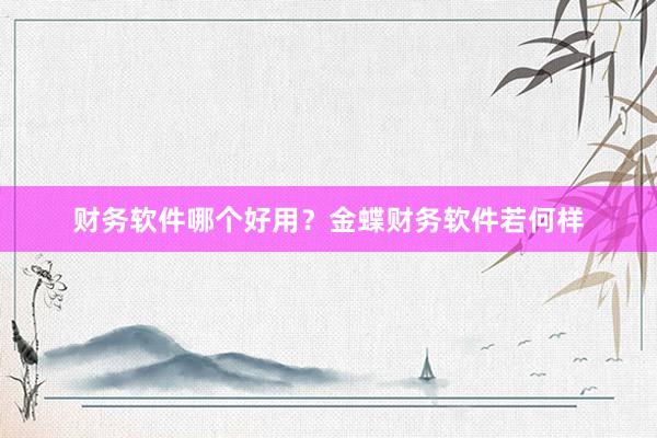 财务软件哪个好用？金蝶财务软件若何样